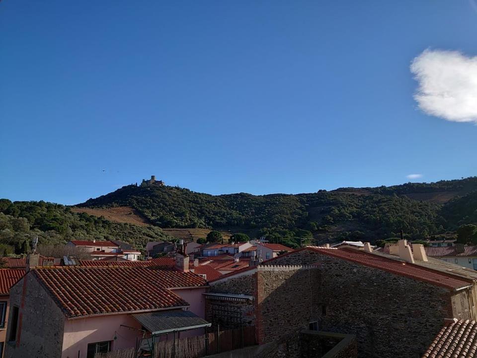 5Demo54 - Appartement Tres Proche Plage Et Toutes Commodites Collioure Exterior photo
