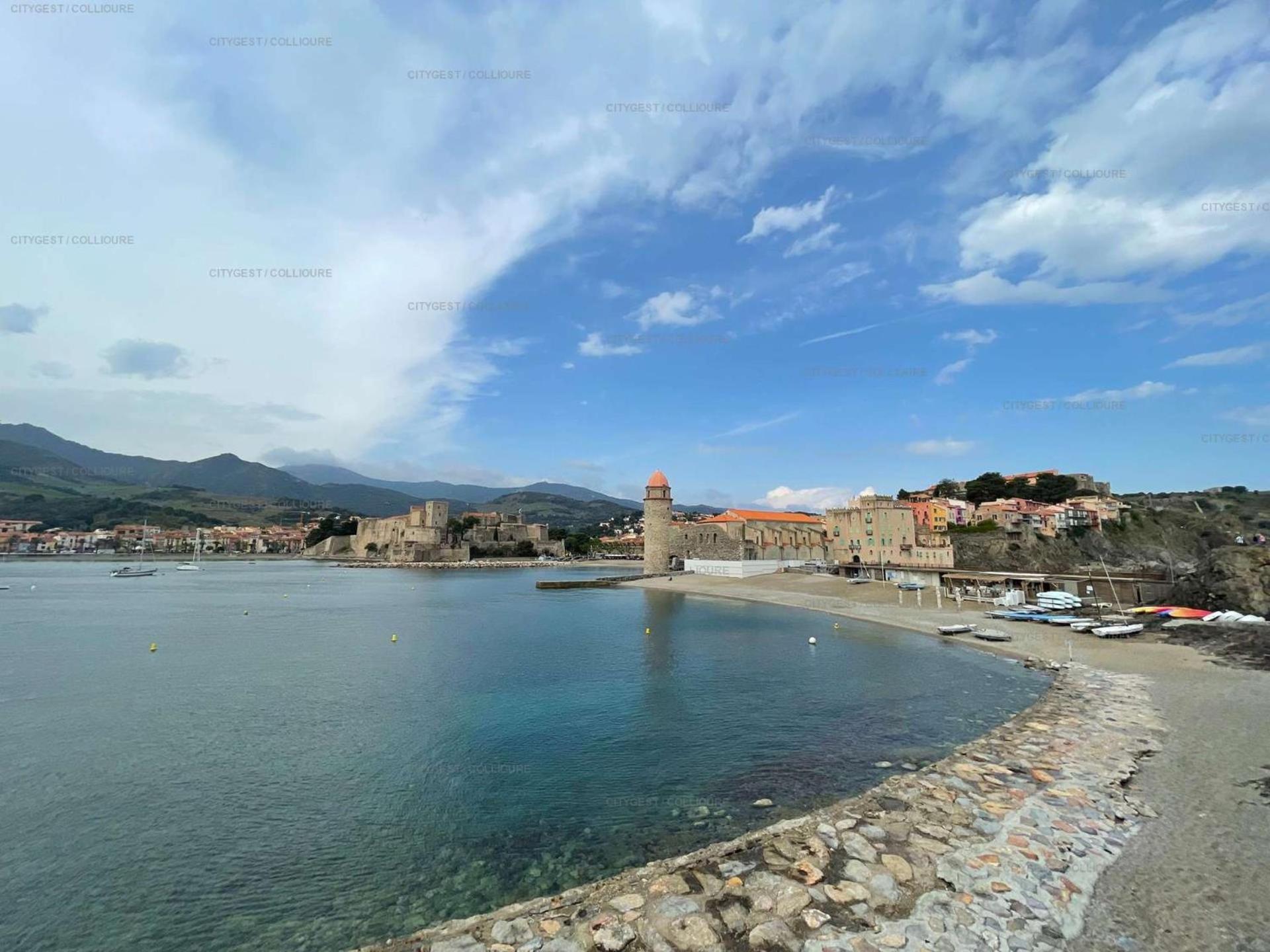 5Demo54 - Appartement Tres Proche Plage Et Toutes Commodites Collioure Exterior photo