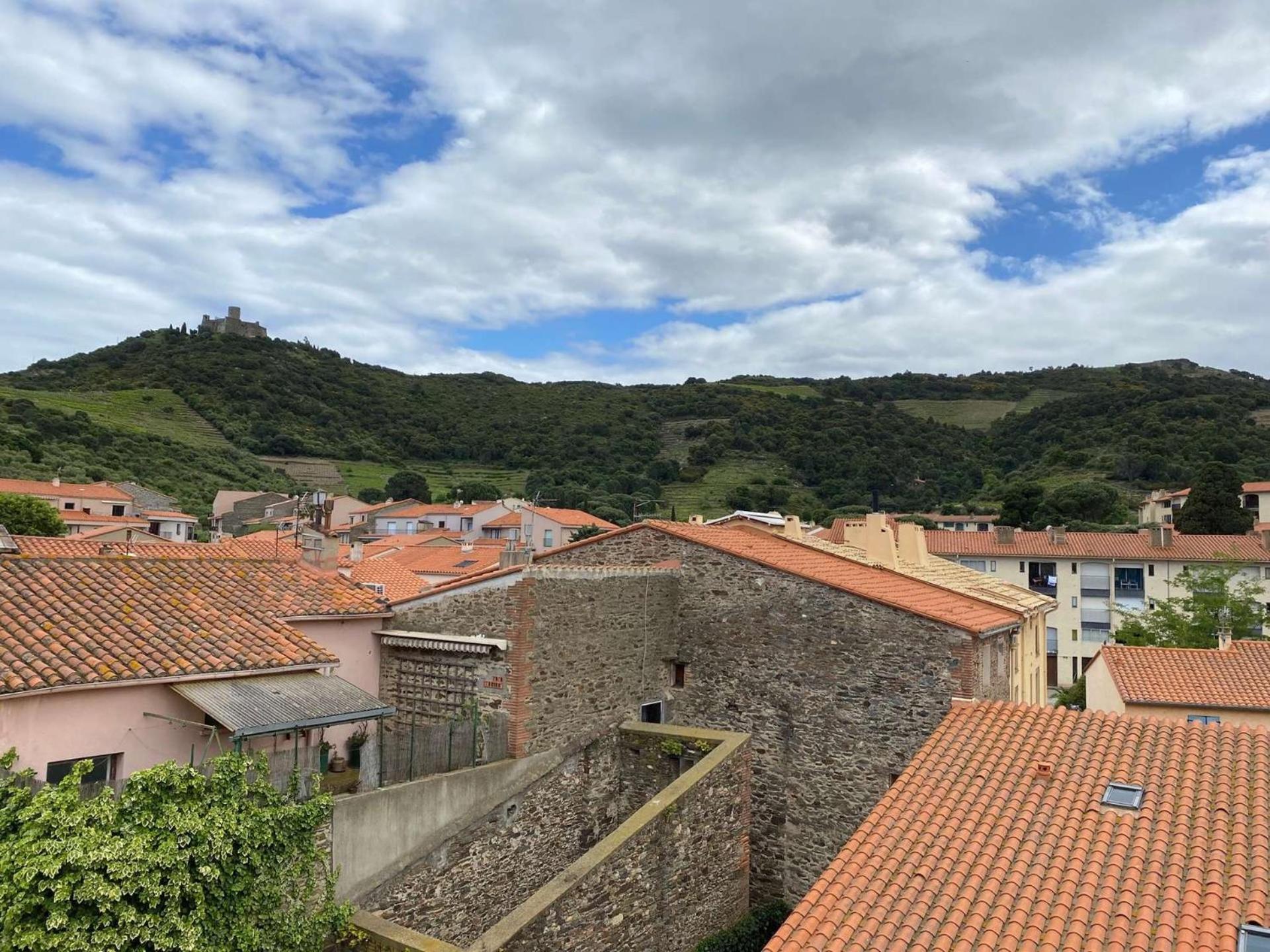 5Demo54 - Appartement Tres Proche Plage Et Toutes Commodites Collioure Exterior photo